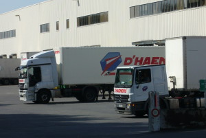 camion1