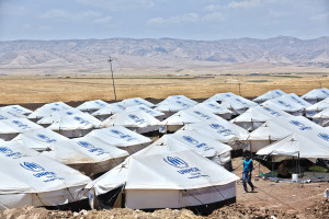UNHCR June 2014 (1)